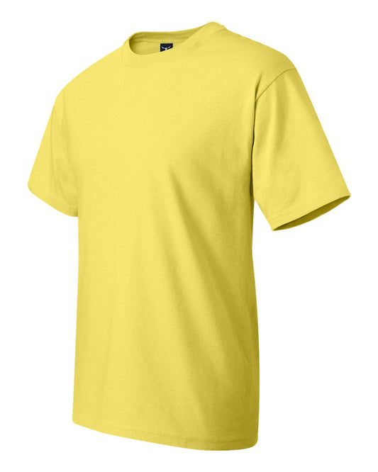 Hanes Men's Beefy-t T-Shirt, Heavyweight Cotton Tee (2-Pack)